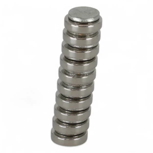 Magnet 'Corsagen' mit Metalldisc