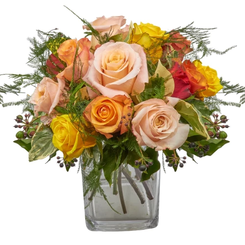 Strauss 'Herzlicher Rosengruss'