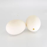 Gänseeier 'ausgeblasen'