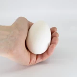 Gänseeier 'ausgeblasen'