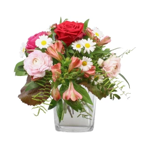 Strauss 'Für die Beste'