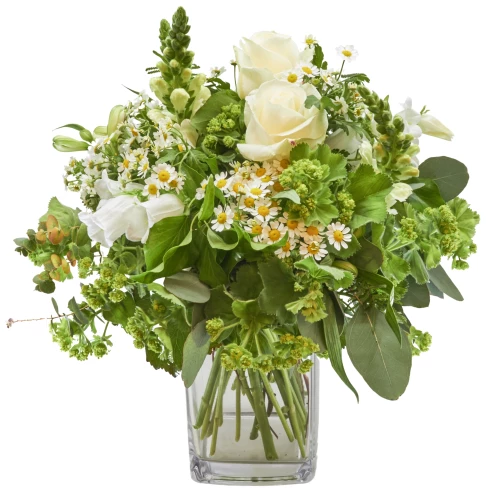 Strauss 'Frühsommer-Fee'