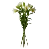 Arrangement 'Ruhe in Frieden'