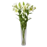 Arrangement 'Ruhe in Frieden'