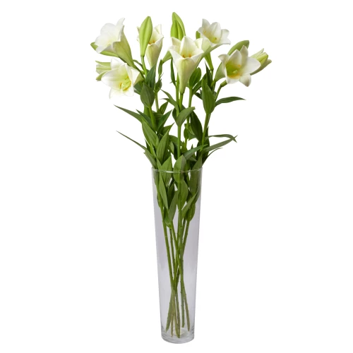 Arrangement 'Ruhe in Frieden'