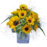 Strauss 'Sonnenblumen-Pur'