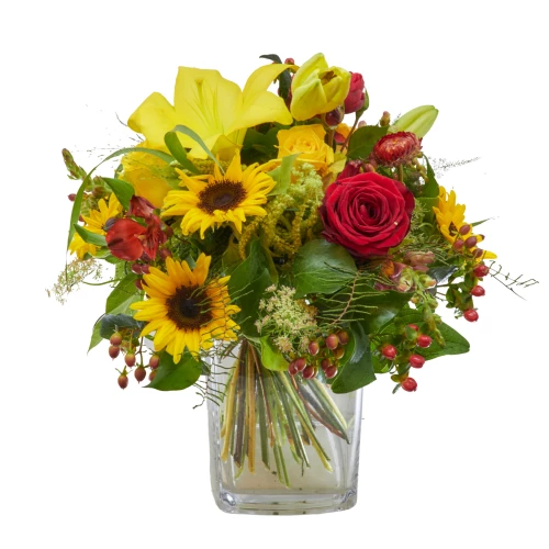 Strauss 'Magie des Sommers'