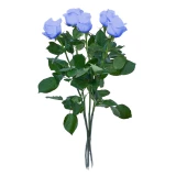 Blaue Rose
