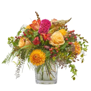 Strauss 'Traumhafter Indian Summer'