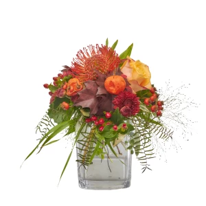 Strauss 'Little Indian Summer'