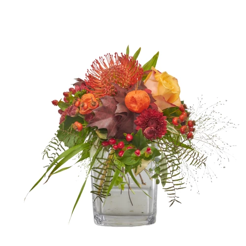 Strauss 'Little Indian Summer'