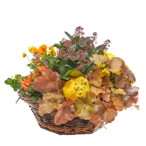 Pflanzkorb 'Indian Summer-Garden'