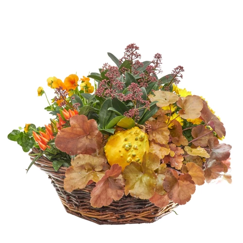 Pflanzkorb 'Indian Summer-Garden'