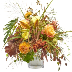 Strauss 'Geist des Indian Summer'