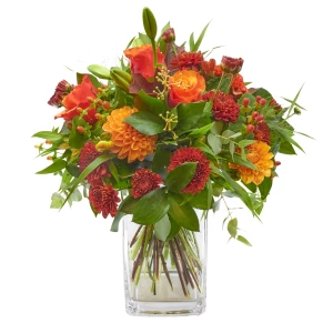 Strauss 'Potpourri of Indian Summer'