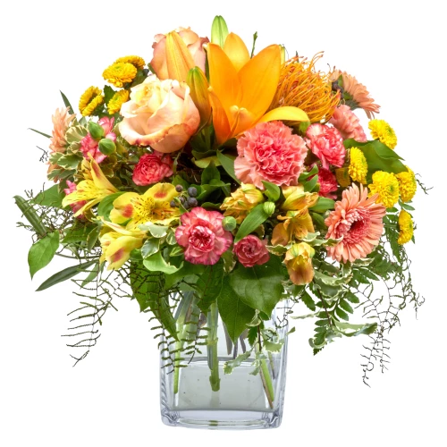 Strauss 'Lebensfreude'