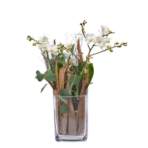 Orchidee 'Lifestyle' höhe 35cm mit Vase
