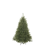 Weihnachtsbaum 'Bristlecone'