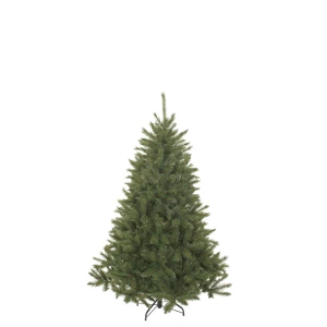 Weihnachtsbaum 'Bristlecone'