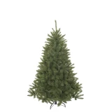 Weihnachtsbaum 'Bristlecone'