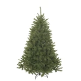 Weihnachtsbaum 'Bristlecone'