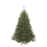 Weihnachtsbaum 'Bristlecone'