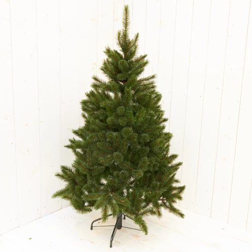 Weihnachtsbaum 'Bristlecone'