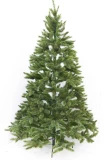 Weihnachtsbaum 'Bristlecone'