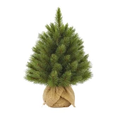 Weihnachtsbaum 'Forest frosted'