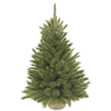 Weihnachtsbaum 'Forest frosted'