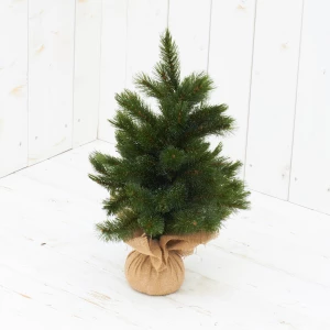 Weihnachtsbaum 'Forest frosted'