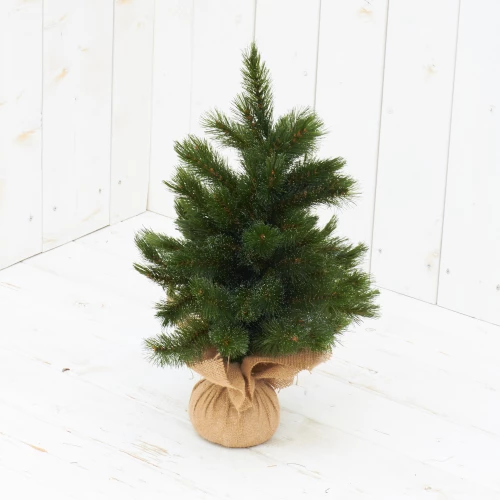 Weihnachtsbaum 'Forest frosted'