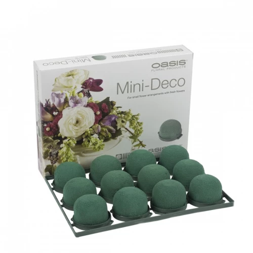 Steckschaum-Schale 'Oasis' Mini Deco