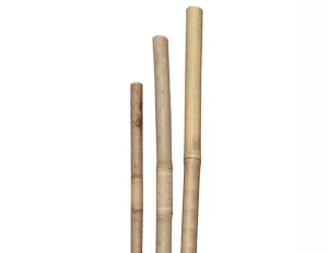 Bambusstab
