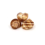 Schneckenhaus 'Weinbergschnecke' natur klein 3cm