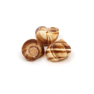 Schneckenhaus 'Weinbergschnecke' natur klein 3cm