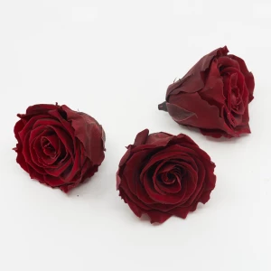 Gefriergetrocknete Rose 'bordeaux' d6cm h5cm