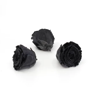Gefriergetrocknete Rose 'schwarz' d6cm h5cm