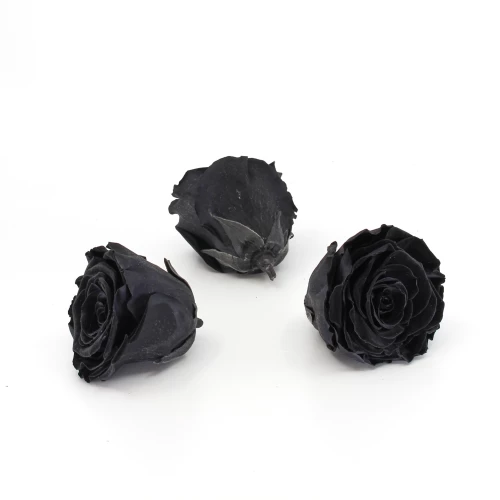 Gefriergetrocknete Rose 'schwarz' d6cm h5cm