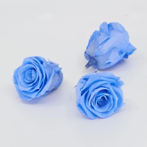 Gefriergetrocknete Rose 'blau' d6cm h5cm