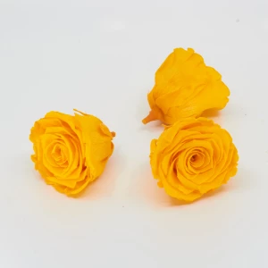 Gefriergetrocknete Rose 'gelb' d6cm h5cm