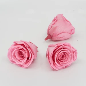 Gefriergetrocknete Rose 'rosa' d6cm h5cm