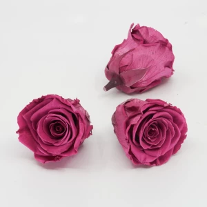 Gefriergetrocknete Rose 'pink' d6cm h5cm