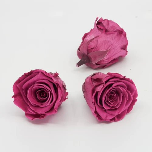 Gefriergetrocknete Rose 'pink' d6cm h5cm