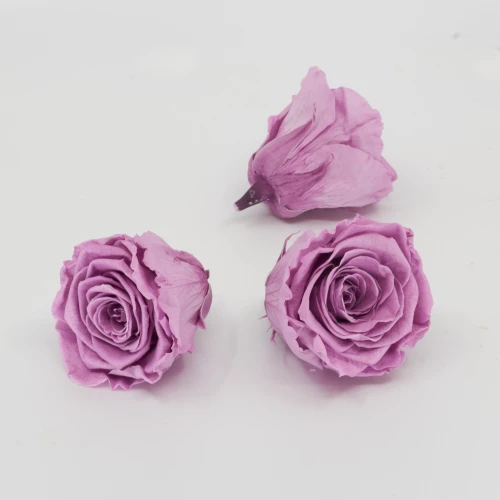 Gefriergetrocknete Rose 'lila' d6cm h5cm