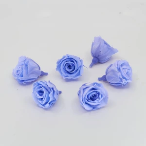 Gefriergetrocknete Rose mini 'blau' d4cm h3.5cm