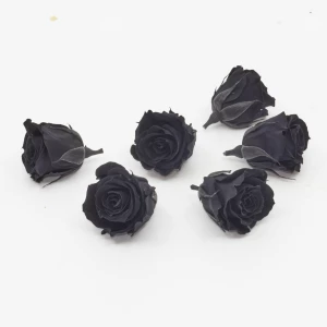 Gefriergetrocknete Rose mini 'schwarz' d4cm h3.5cm