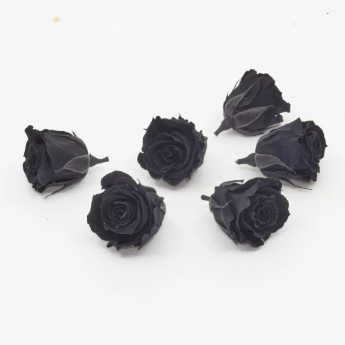 Gefriergetrocknete Rose mini 'schwarz' d4cm h3.5cm