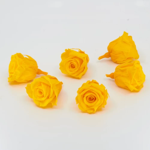 Gefriergetrocknete Rose mini 'gelb' d4cm h3.5cm