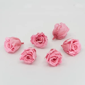Gefriergetrocknete Rose mini 'rosa' d4cm h3.5cm